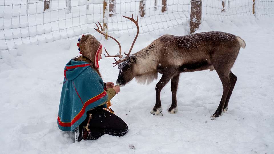 Winter Nordic Discovery - undefined - Image 4