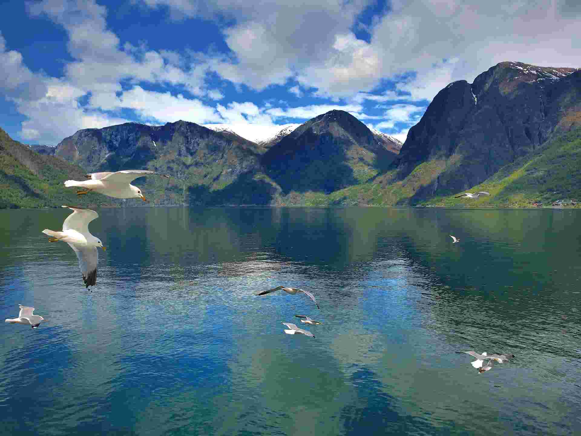 Winter Wonders of Norway - 7 days