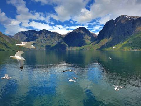 Scandinavia Travel Deals: Winter Wonders Of Norway - 7 Days