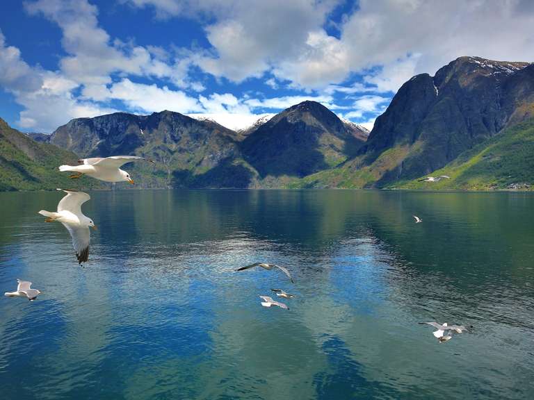 Winter Wonders of Norway - 7 days - December 2026