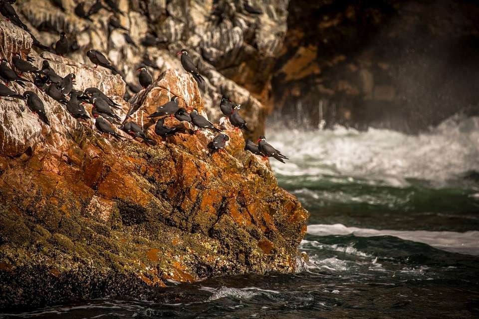 Wonderful Peruvian South - Destination Services - Peru - Image 3