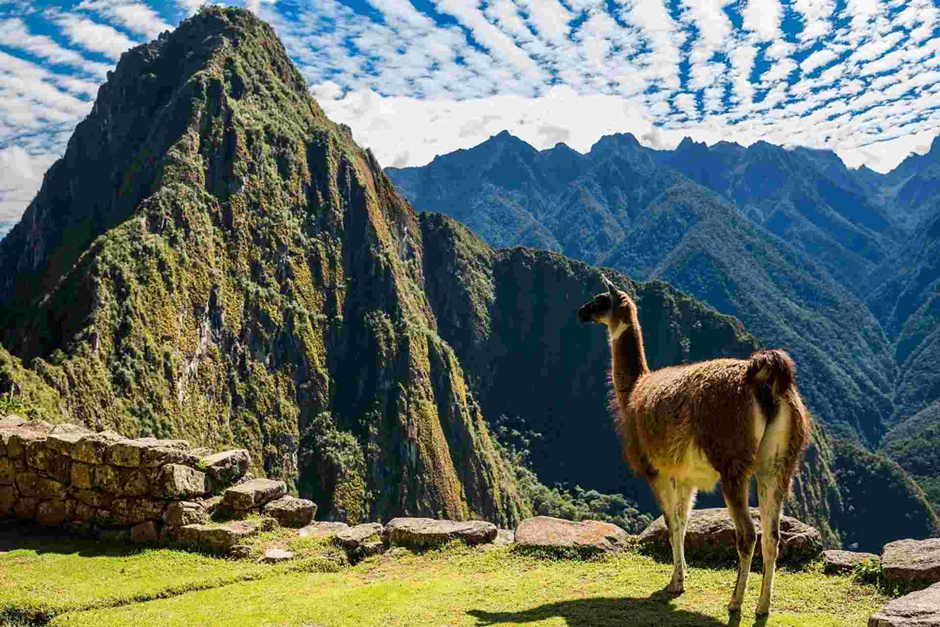 Wonderful Peruvian South, Private Tour