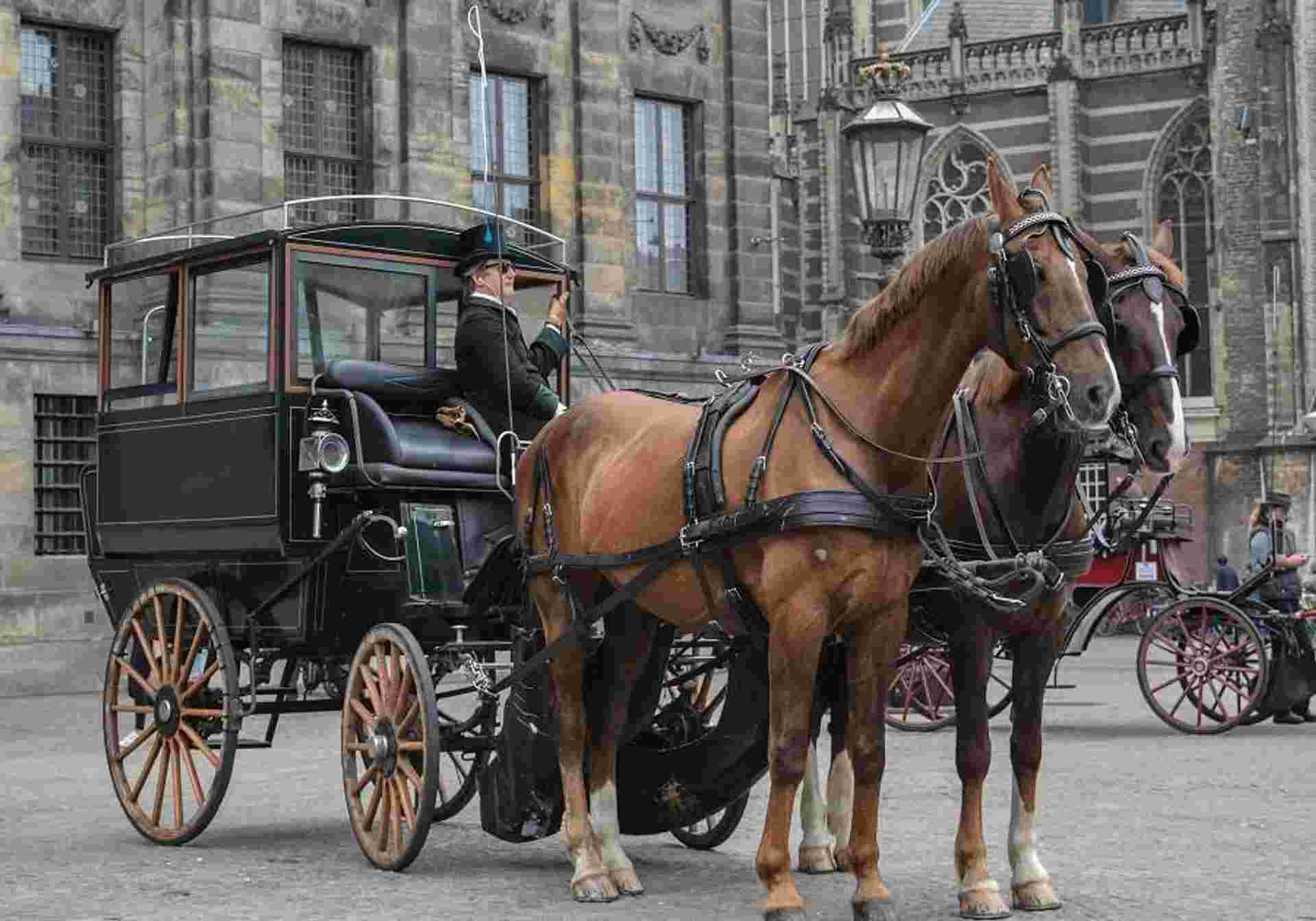 Wonders Of Amsterdam Bruges And Paris By Rail