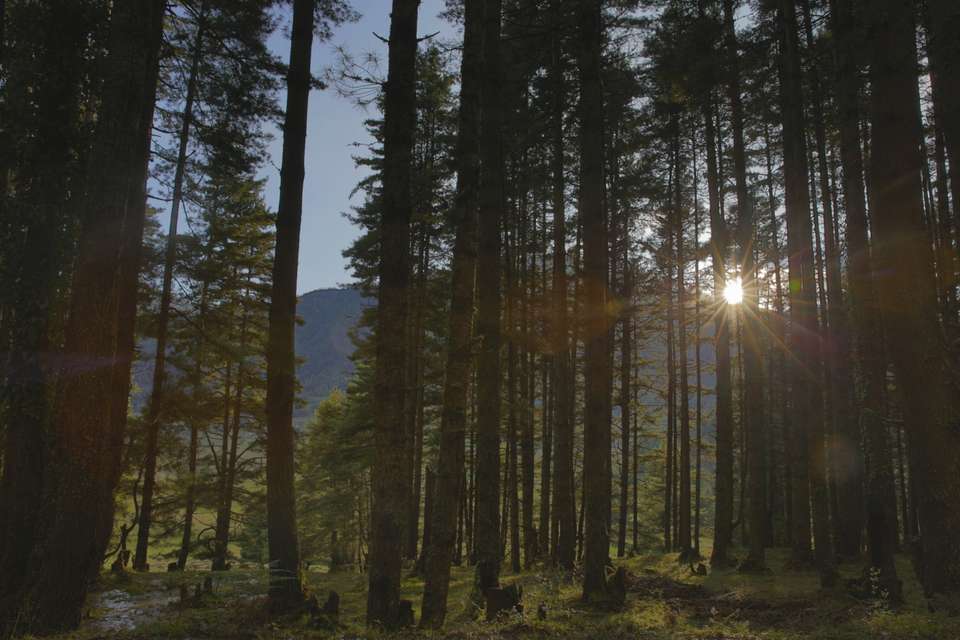 Journeys: Wonders of Bhutan - G Adventures - Bhutan - Image 2