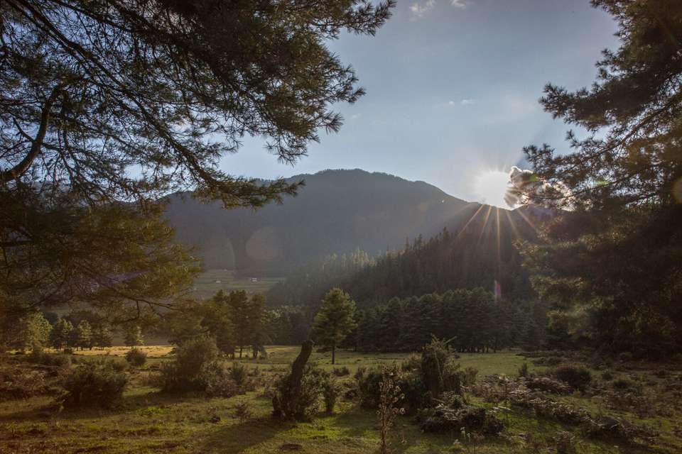 Journeys: Wonders of Bhutan - G Adventures - Bhutan - Image 12
