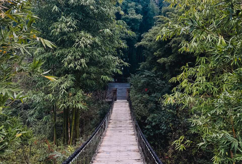 Wonders of China - Trutravels - China - Image 17