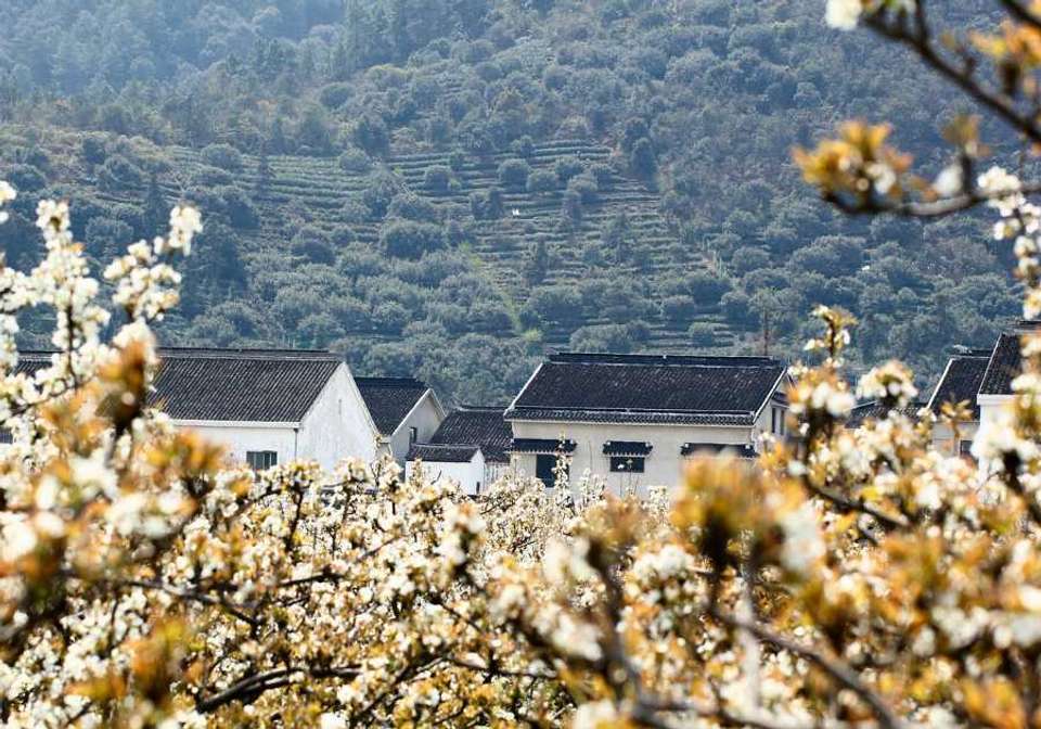 Wonders of China and Japan - Indus Travels - China - Image 10