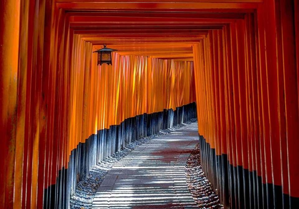 Wonders of China and Japan - Indus Travels - China - Image 14