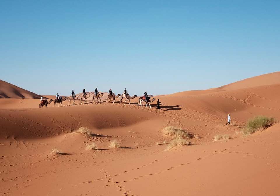Wonders of Dubai Abu Dhabi and Istanbul - Indus Travels - UAE - Image 3