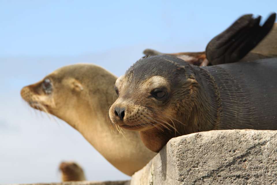 Wonders of Ecuador and Peru: Epic Adventure 11D/10N - undefined - Image 2