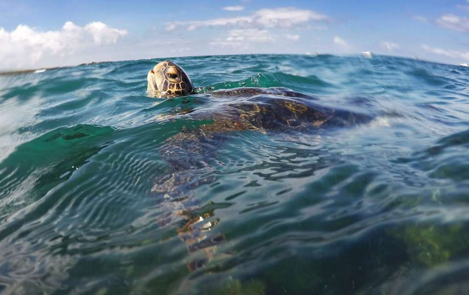 Wonders of Ecuador: Galapagos Discovery 5D/4N - undefined - Image 5