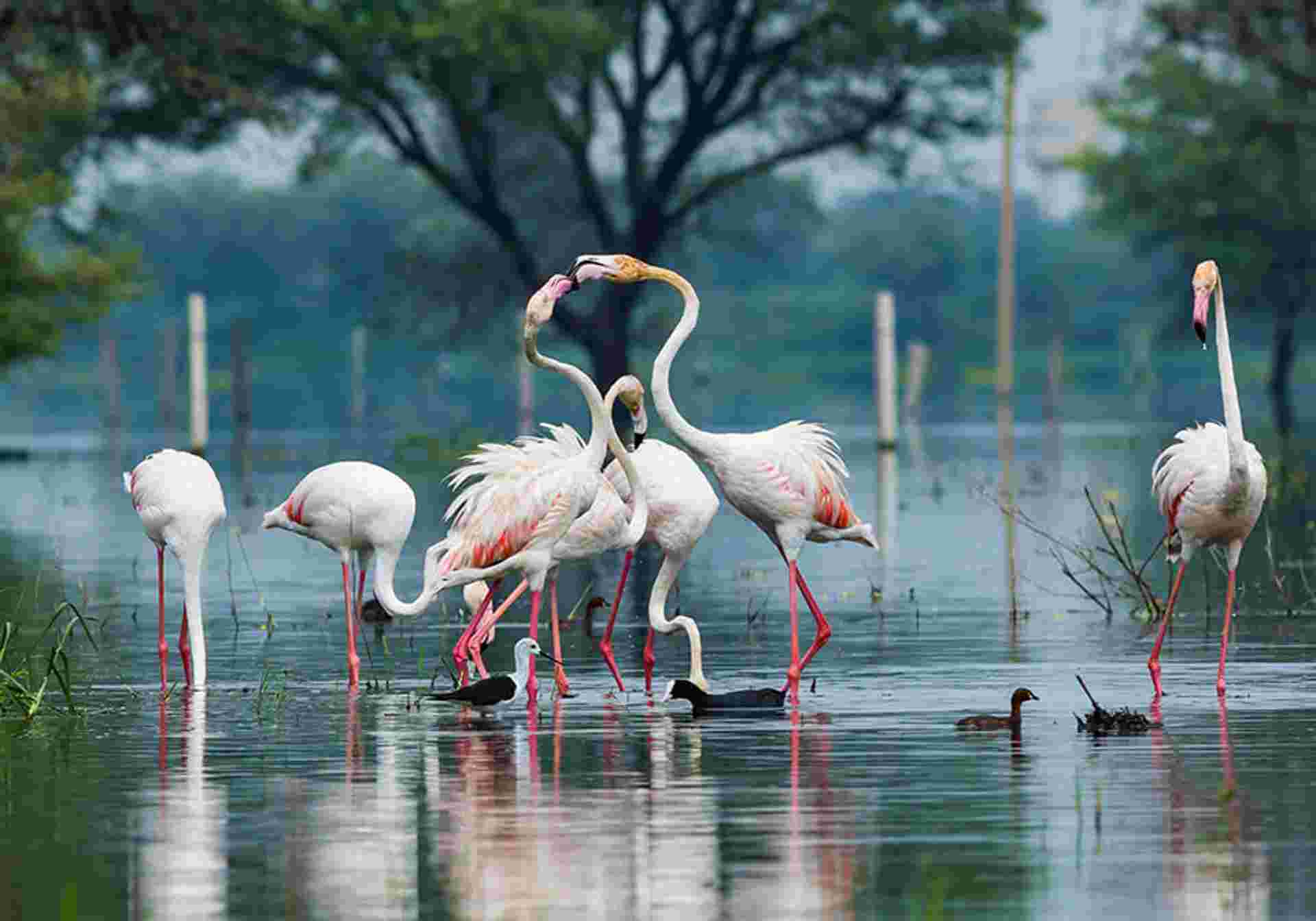 Wonders of India