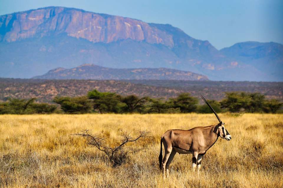 Wonders of Kenya - Trafalgar - Kenya - Image 2