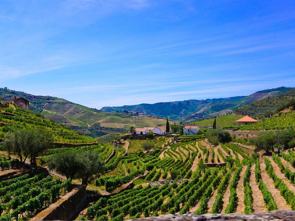 Wonders of Northern Portugal - 7 days - On The Go Tours - Portugal - Image 6
