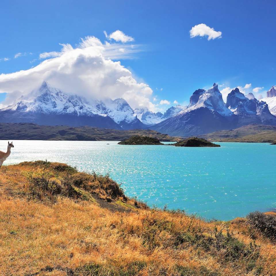 Wonders of Patagonia - Trafalgar - Argentina - Image 6