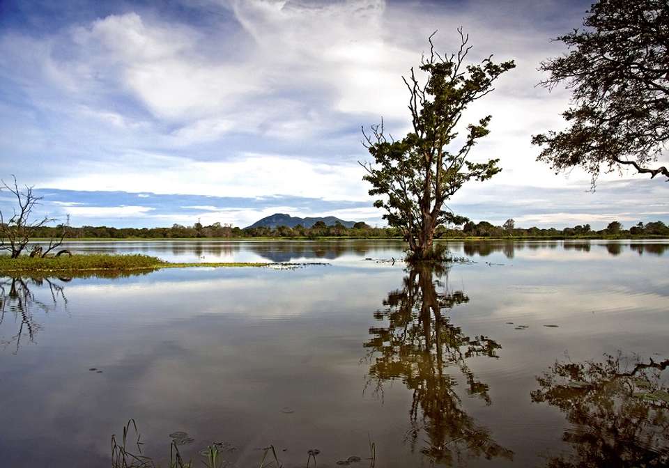 Wonders of Sri Lanka - Indus Travels - Sri Lanka - Image 1