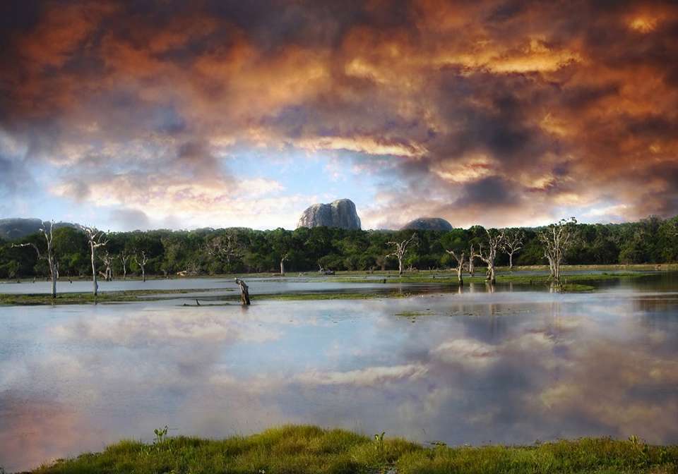 Wonders of Sri Lanka - Indus Travels - Sri Lanka - Image 4