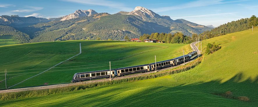 TOP TOURS