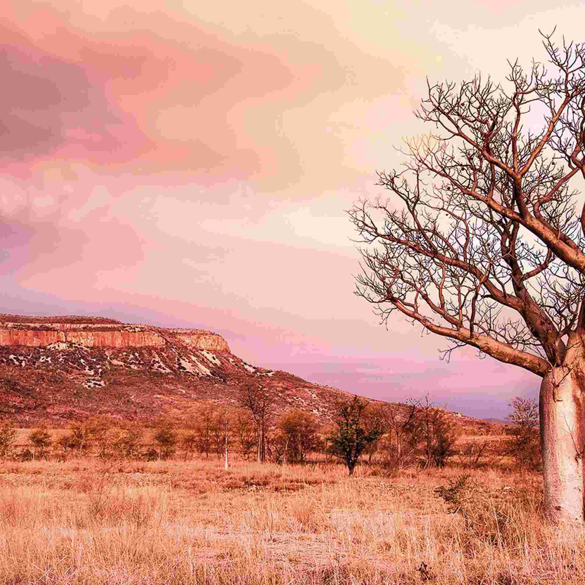 Wonders of the West Coast and Kimberley