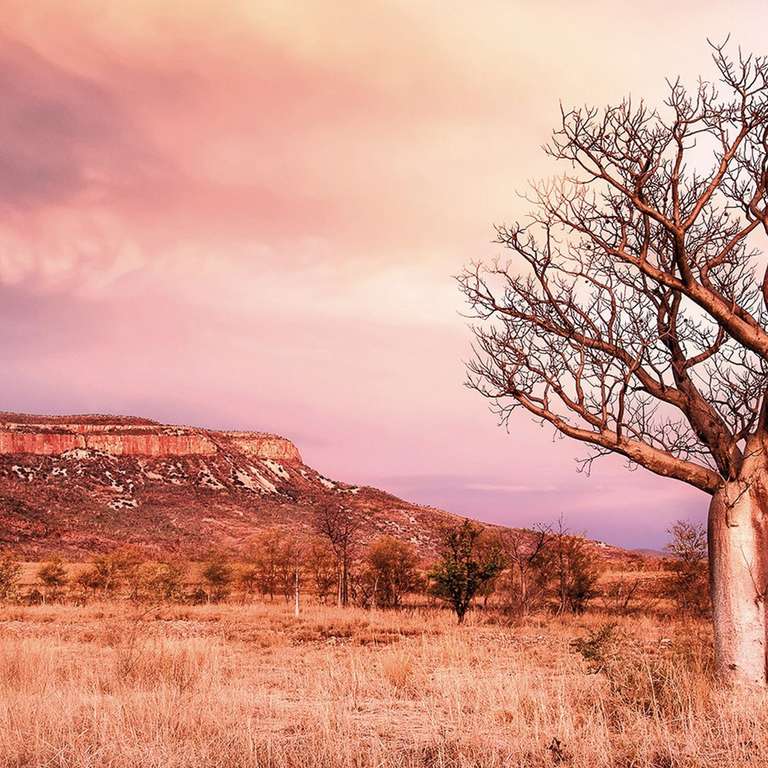 Wonders of the West Coast & Kimberley trip - alternative tour available