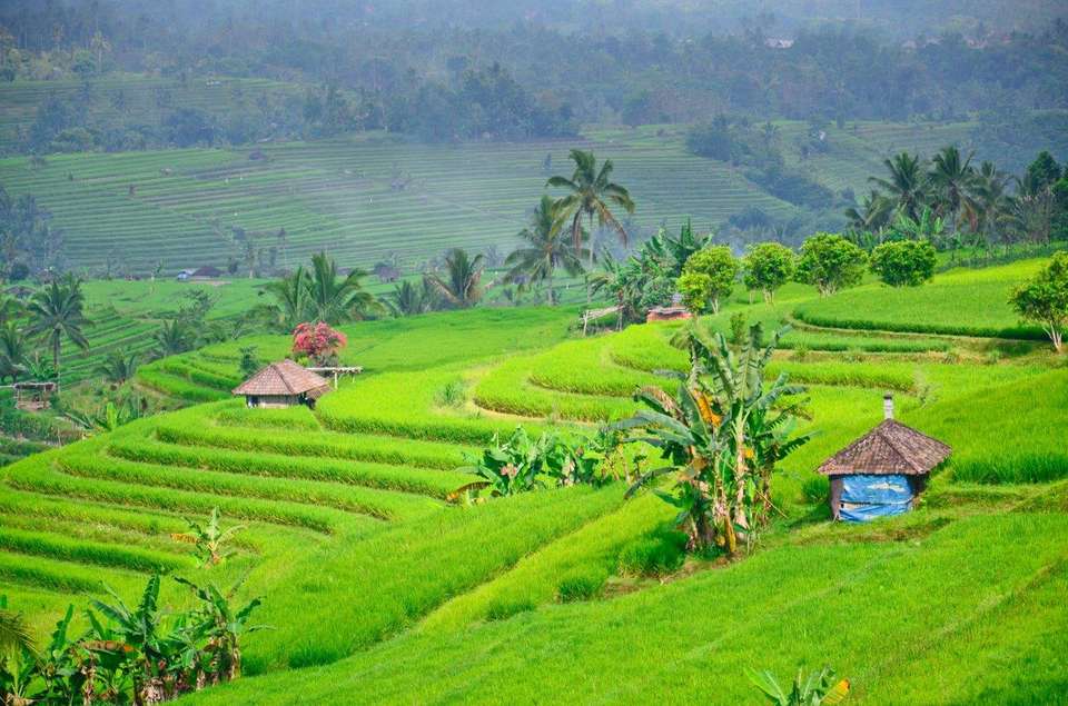 World’s Natural Wonders: Java, Bali, Flores And Komodo, Private Tour - Destination Services - Indonesia - Image 11