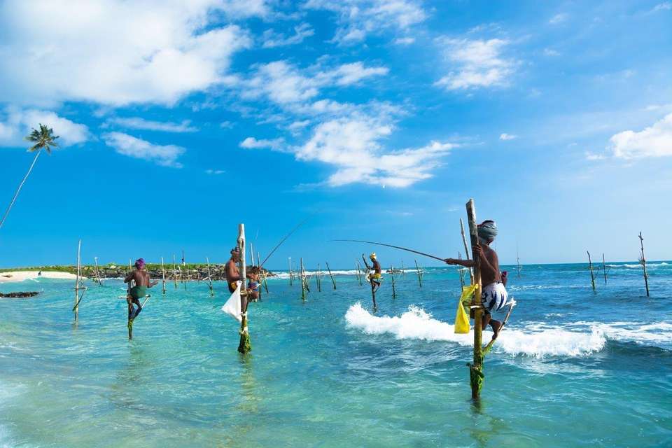 Yala & Galle 2 Days, Private Tour - Destination Services - Sri Lanka - Image 7