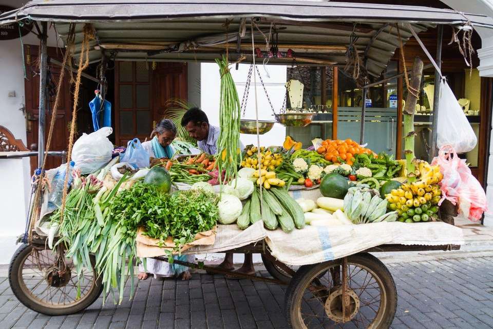 Yala & Galle 3 Days, Private Tour - Destination Services - Sri Lanka - Image 6