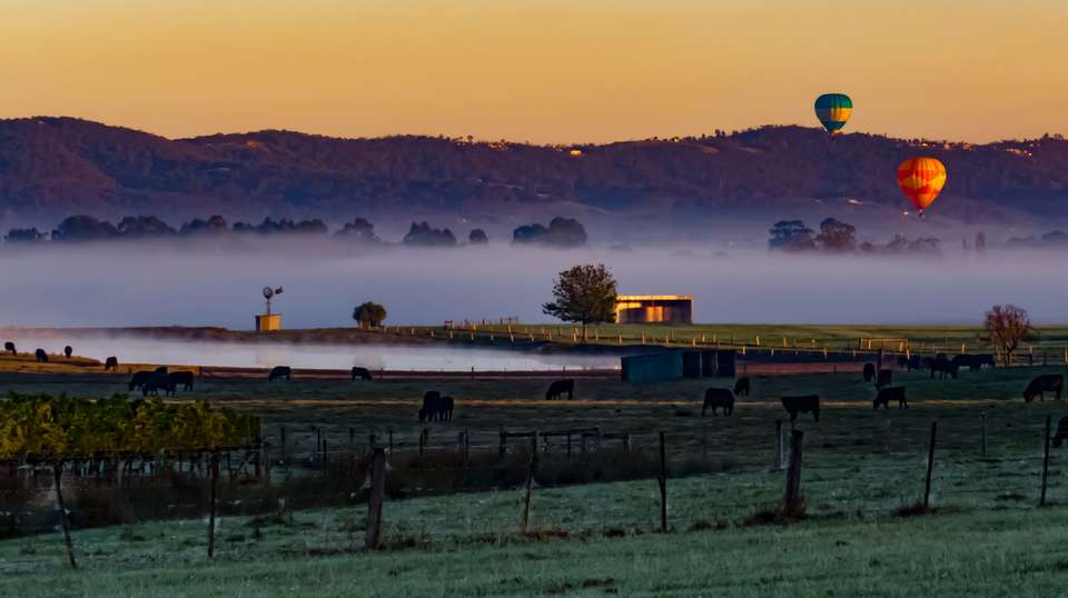 Yarra Valley Sunrise Hot Air Balloon Flight - Picture This Ballooning - Australia - Image 5