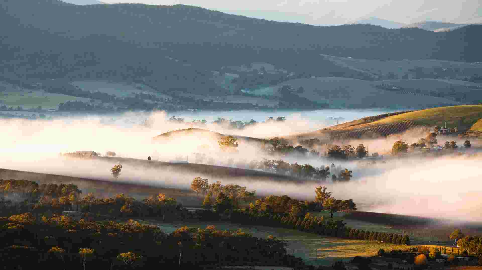 Yarra Valley Sunrise Hot Air Balloon Flight