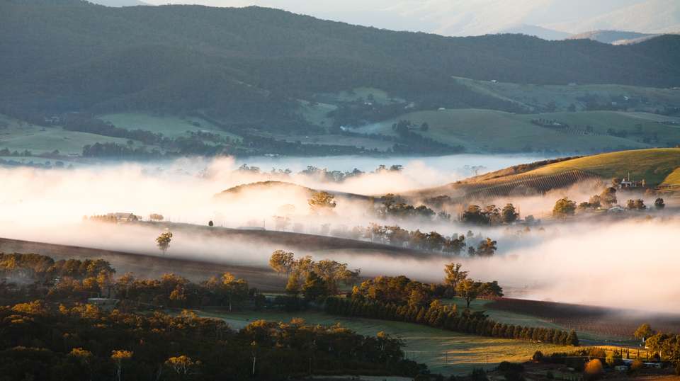 Yarra Valley Sunrise Hot Air Balloon Flight - Picture This Ballooning - Australia - Image 1