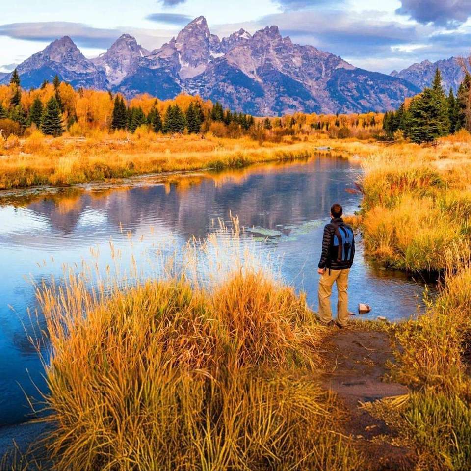 Yellowstone and Grand Tetons - undefined - Image 5