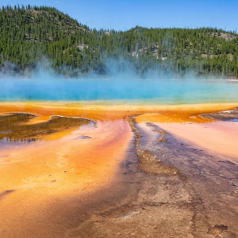 Usa Guided Tours: Yellowstone Discovery