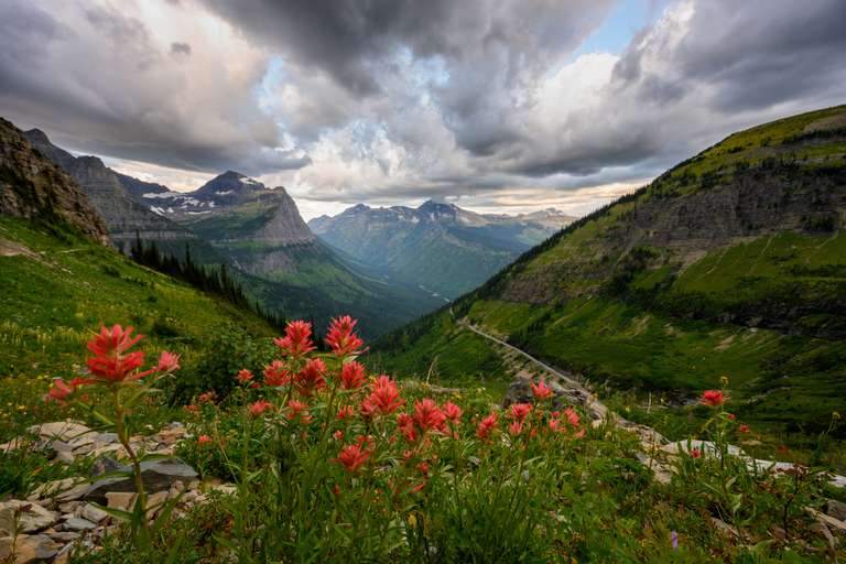 Yellowstone Walks & Wildlife trip - alternative tour available