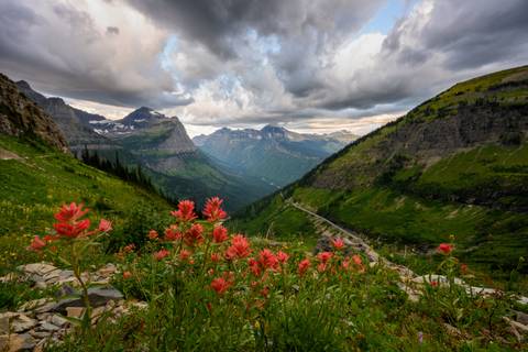 Trekking And Hiking Tour: Yellowstone Walks & Wildlife