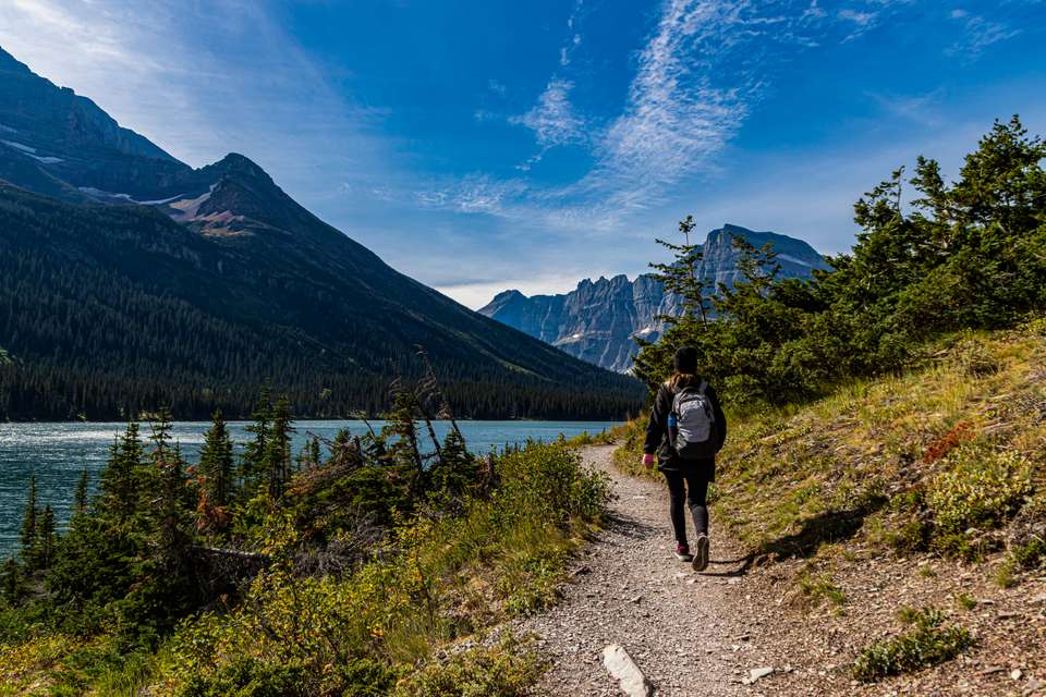Yellowstone Walks & Wildlife - undefined - Image 21