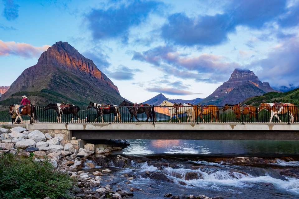 Yellowstone Walks & Wildlife - undefined - Image 20