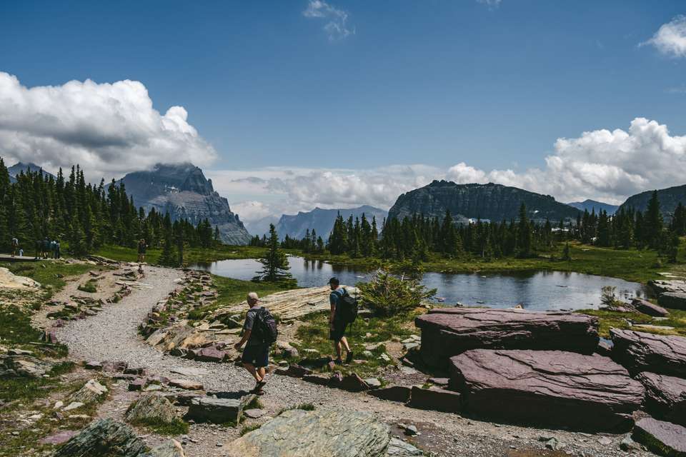 Yellowstone Walks & Wildlife - undefined - Image 17