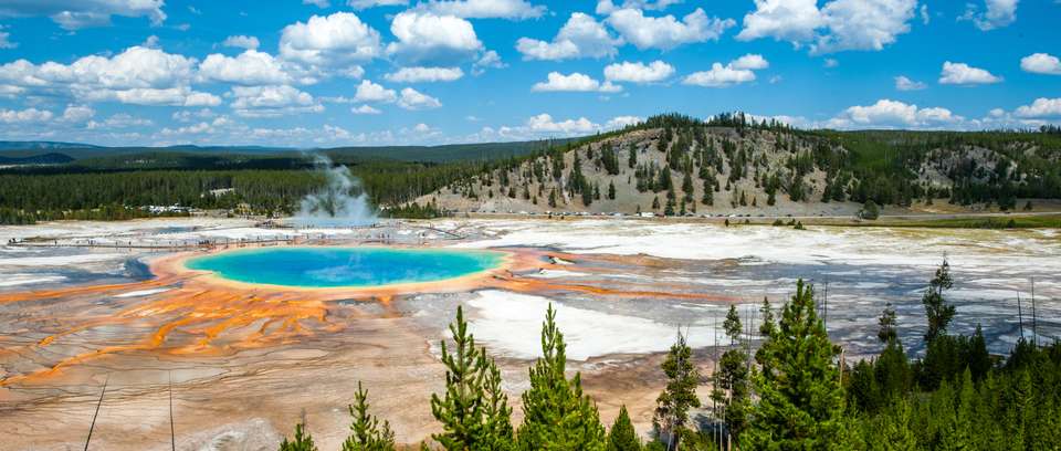Yellowstone Walks & Wildlife - undefined - Image 15