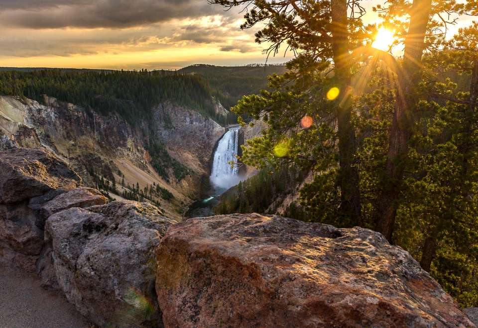 Yellowstone Walks & Wildlife - undefined - Image 2
