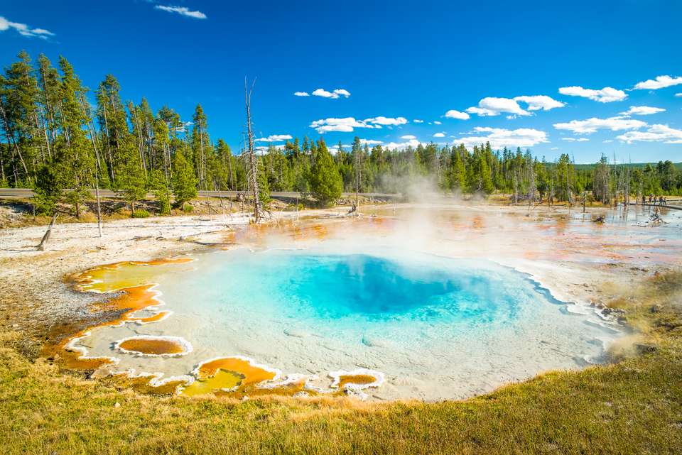 Yellowstone Walks & Wildlife - undefined - Image 12