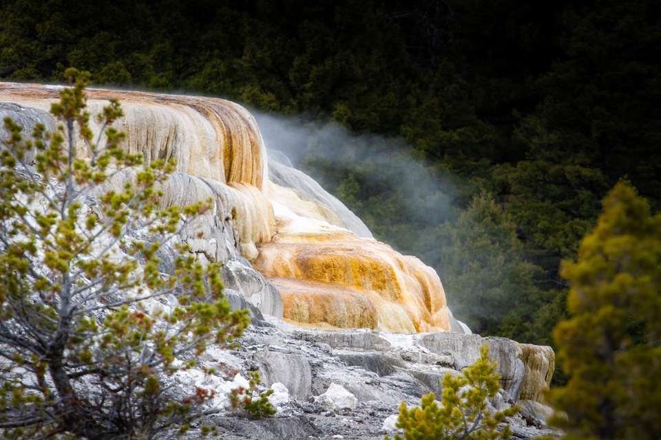 Yellowstone Walks & Wildlife - undefined - Image 11