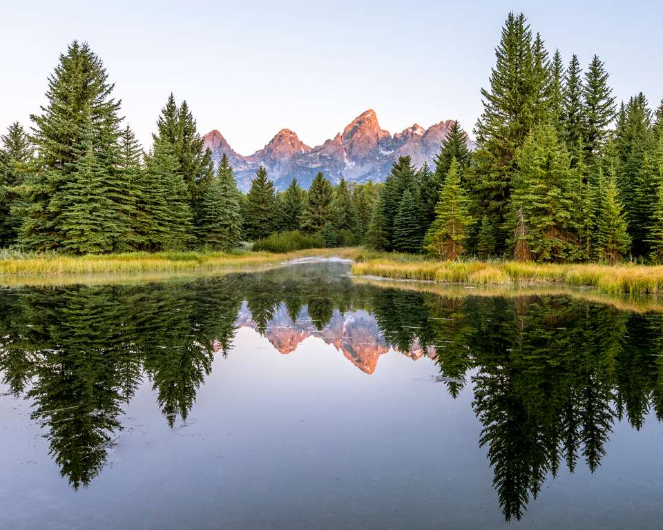 Yellowstone Walks & Wildlife - undefined - Image 8