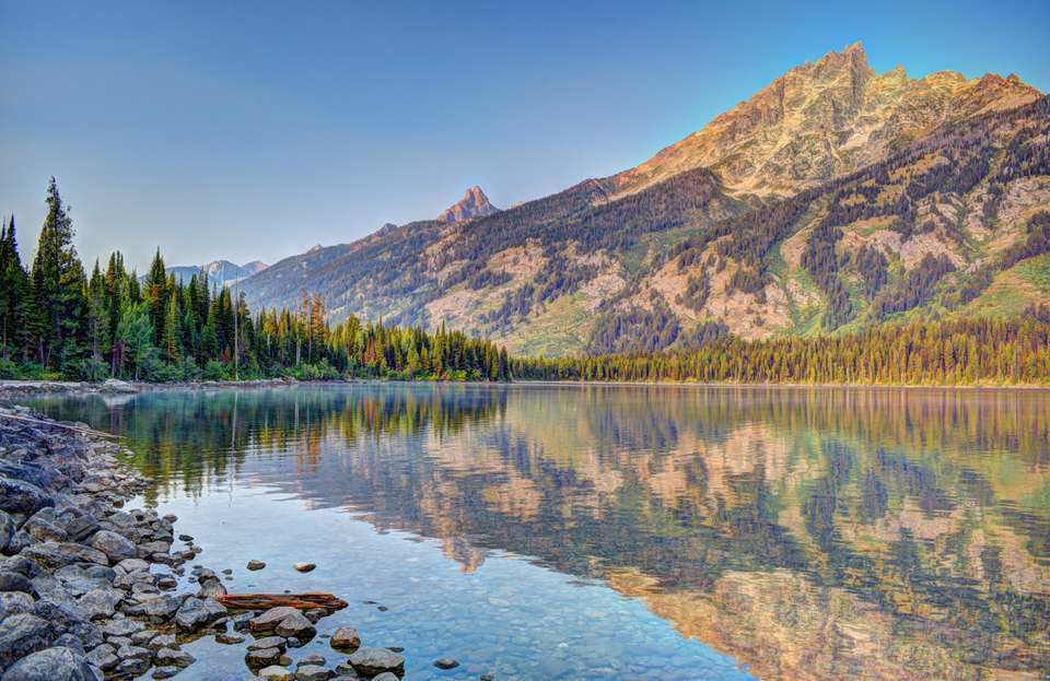 Yellowstone Walks & Wildlife - undefined - Image 4