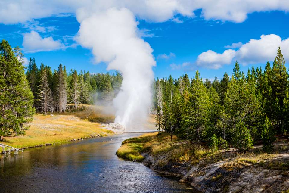 Yellowstone Walks & Wolves - undefined - Image 11