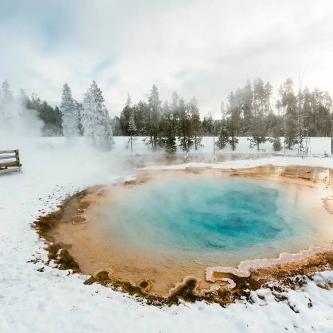 Yellowstone Winter Escape - Small Group - February 2027