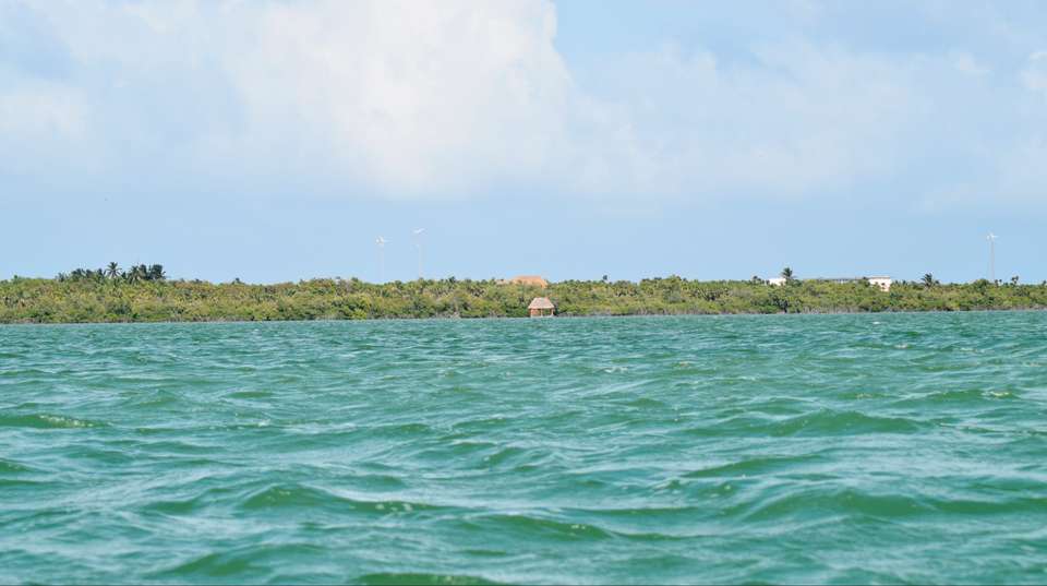 Yucatan Peninsula Mayan Heritage Tour - Rutopia - Mexico - Image 3