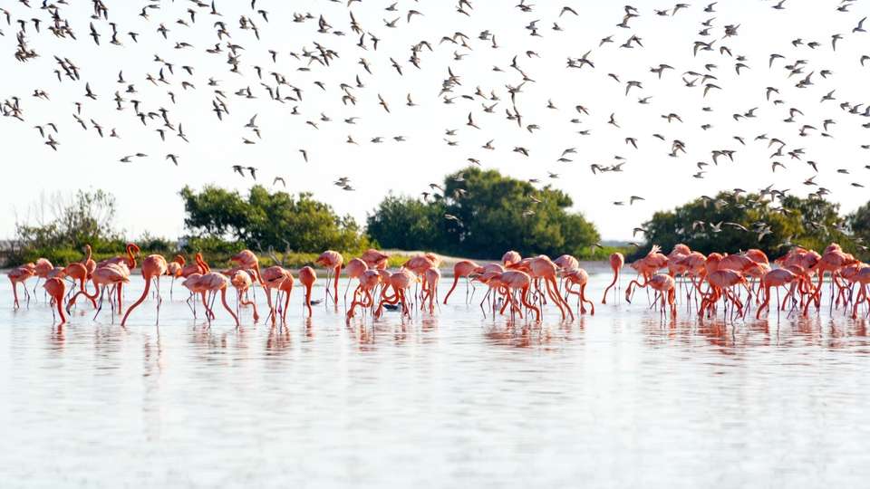 Yucatan Wonders and Mayan Mysteries - 4 days - On The Go Tours - Mexico - Image 5