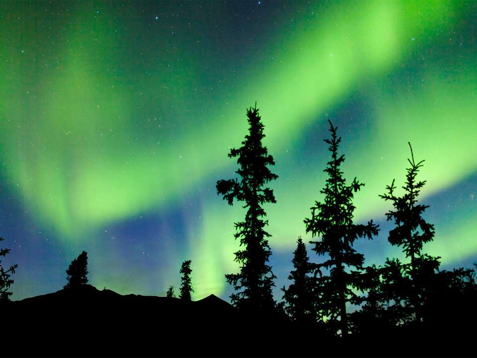 Yukon & Northern Lights - 4 days - On The Go Tours - Canada - Image 3