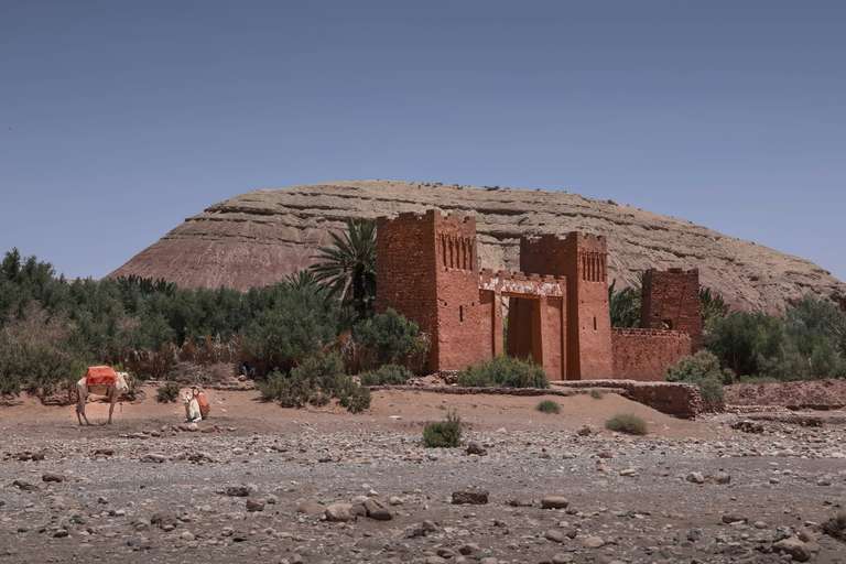 Zagora Desert Camp 2D/1N trip - alternative tour available