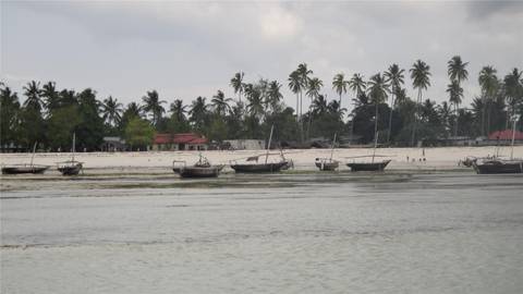 Tanzania Small Group Tours: Zanzibar Experience 4d/3n (from Stone Town)